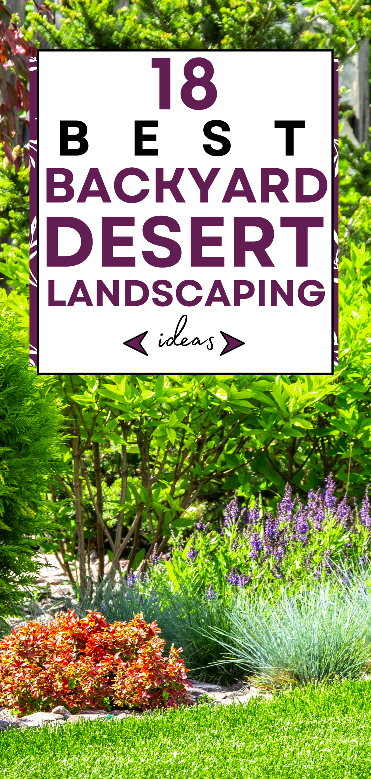 18 Best Backyard Desert Landscaping Ideas