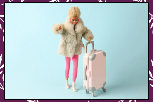 17 Amazing Barbie Storage Ideas