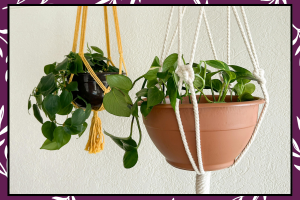 17 Best Outdoor Hanging Planter Ideas