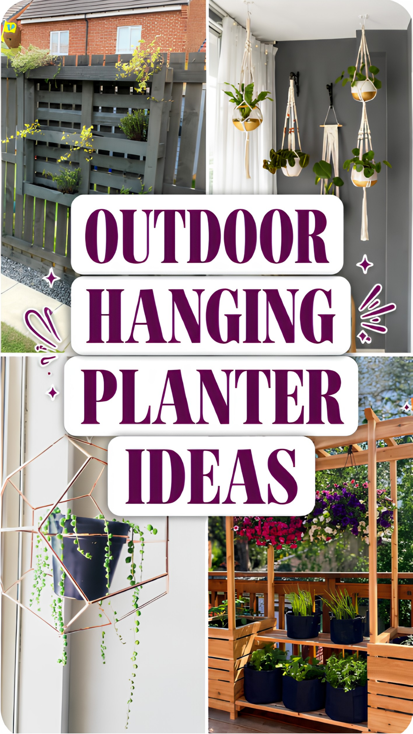 hanging planter