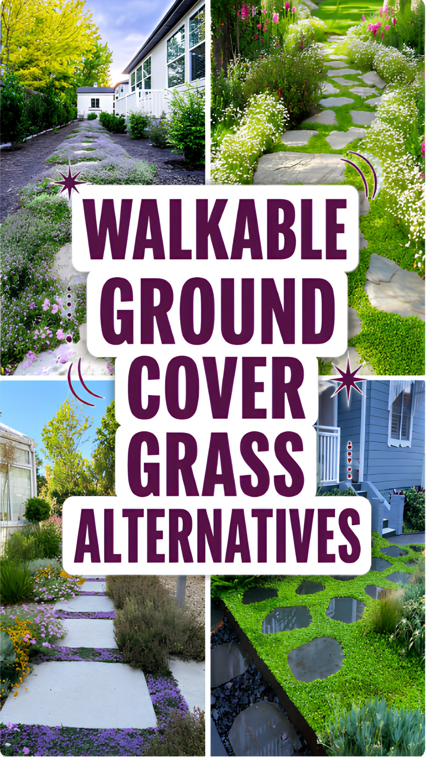 Walkable Ground Cover Grass Alternatives That Actually Hold Up