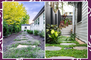 Walkable Ground Cover Grass Alternatives That Actually Hold Up