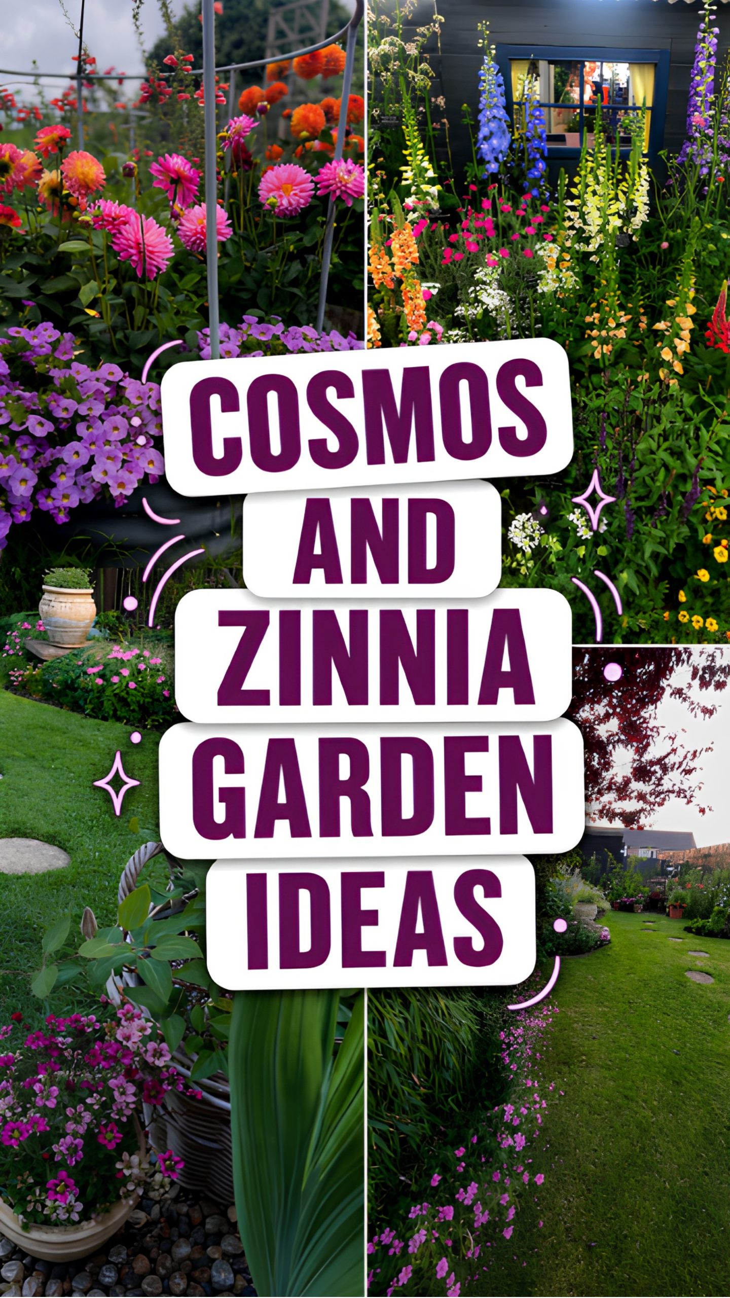 Cosmos and Zinnia Garden
