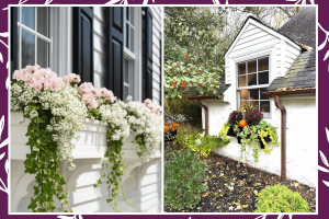 Autumn Fall Window Boxes Ideas That Actually Look Good Past October