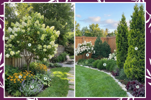 Plants That Grow Under Trees That Finally Made My Shady Corners Feel Finished